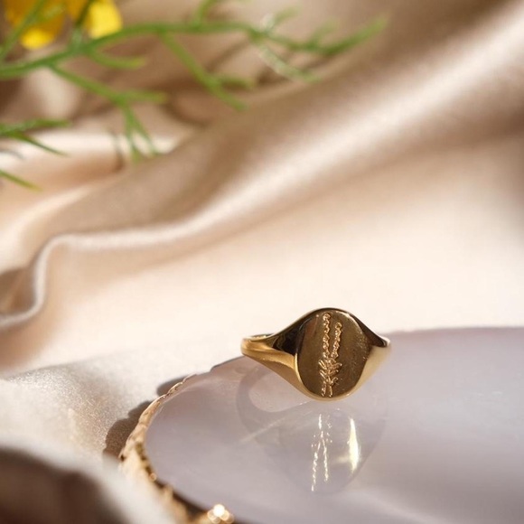 Jewelry - 18K Gold Plated Fall Grass Signet Ring